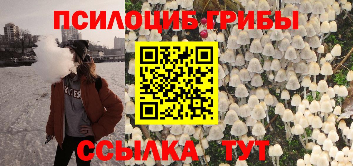 Галлюциногенные грибы GOLDEN TEACHER  Вход с VPN  Пенза  Псилоцибиновые грибы мухоморы 